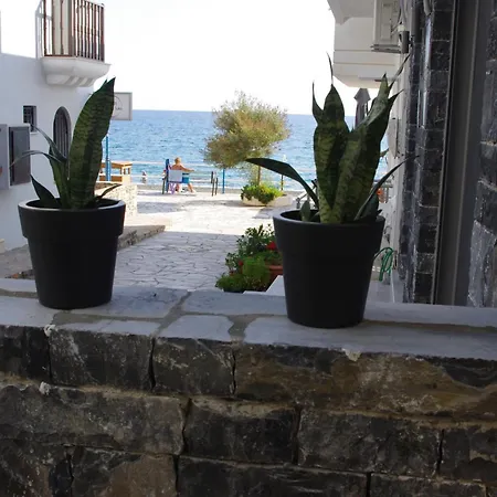Irene Luxury Μύρτος